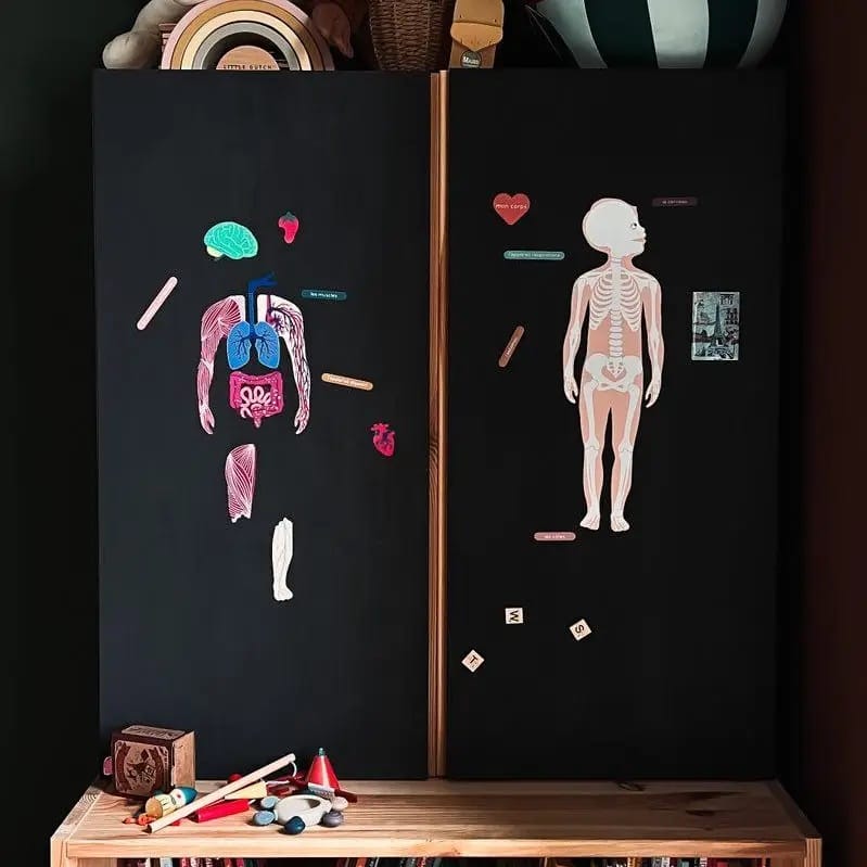 Joc Magnetic "Corpul Uman" ,Ma Cabane à Rêves, 64 magneti - Imaginea 1