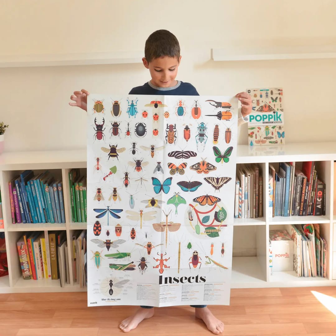 xPoster cu Stickere Repozitionabile – Insecte, Poppik (100 x 68 cm) - Imaginea 3