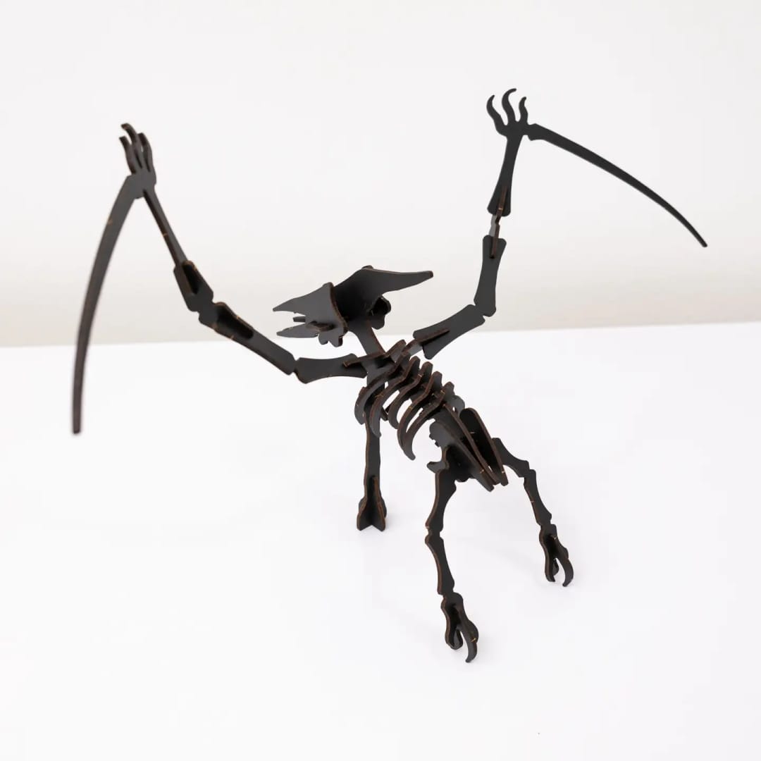 Puzzle Lemn 3D - Skeleton Pterosaur - Imaginea 3