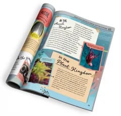 Kit Experimente STEM Thames & Kosmos® – Water Power (Energie Hidro-Pneumatică 6-în-1) - Imaginea 6