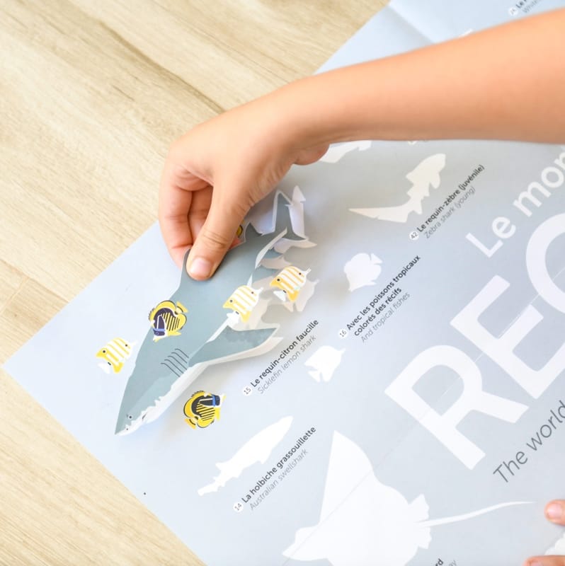 Poster cu Stickere Repoziționabile – Rechinii, Poppik (100 x 68 cm) - Imaginea 3