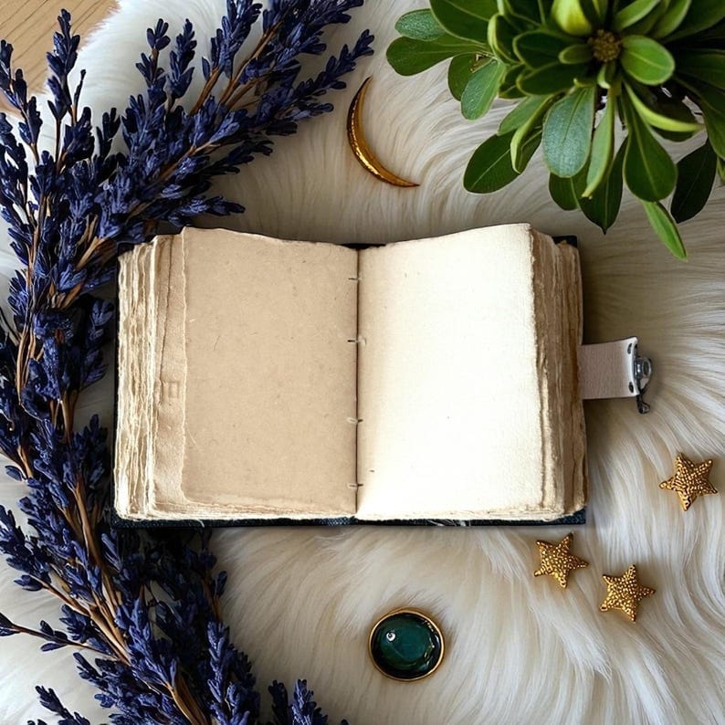 Jurnal Vintage din Piele Grimoire – Model Ciuperci de Noapte - Imaginea 5