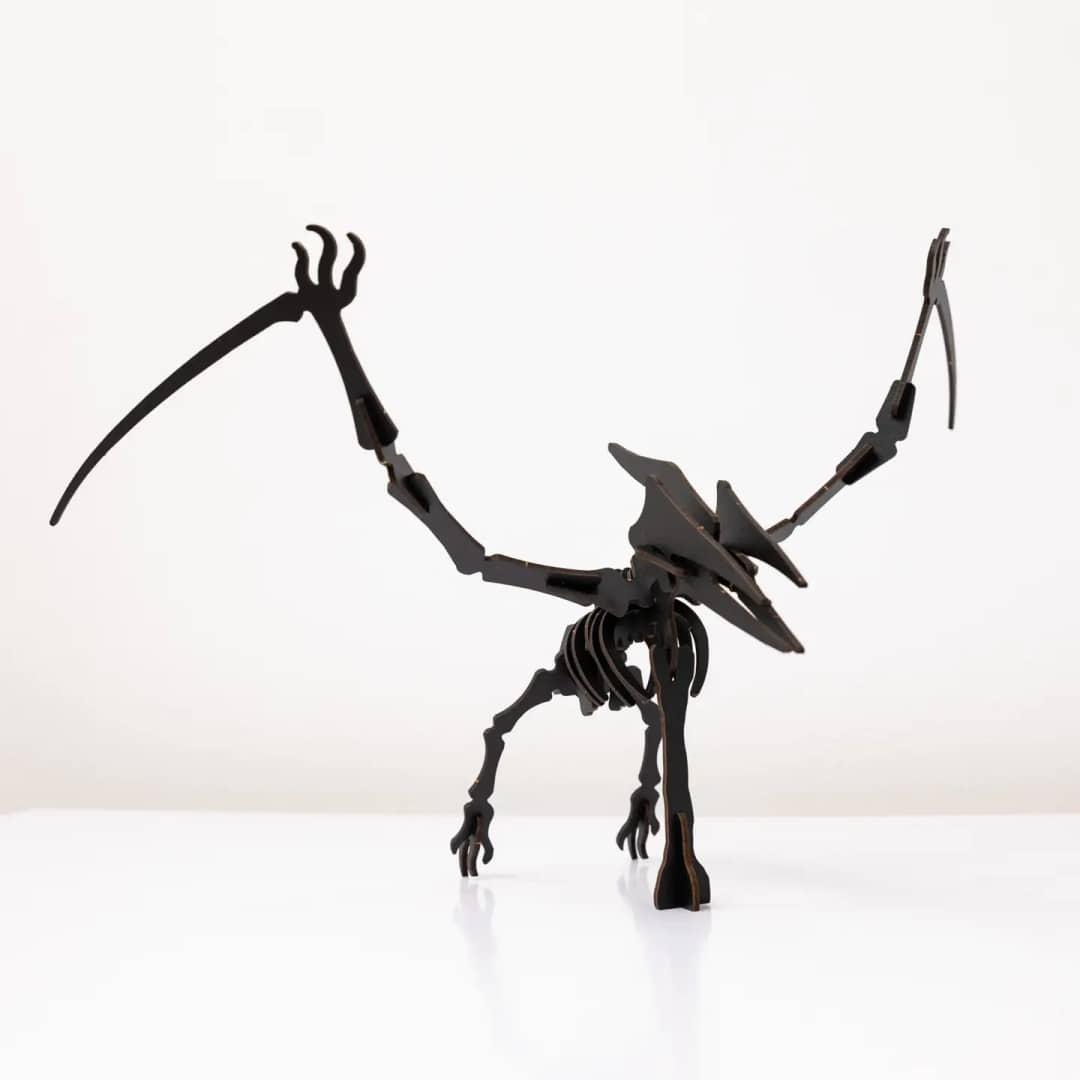 Puzzle Lemn 3D - Skeleton Pterosaur