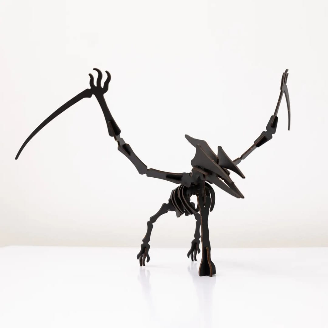 Puzzle Lemn 3D - Skeleton Pterosaur - Imagine principala
