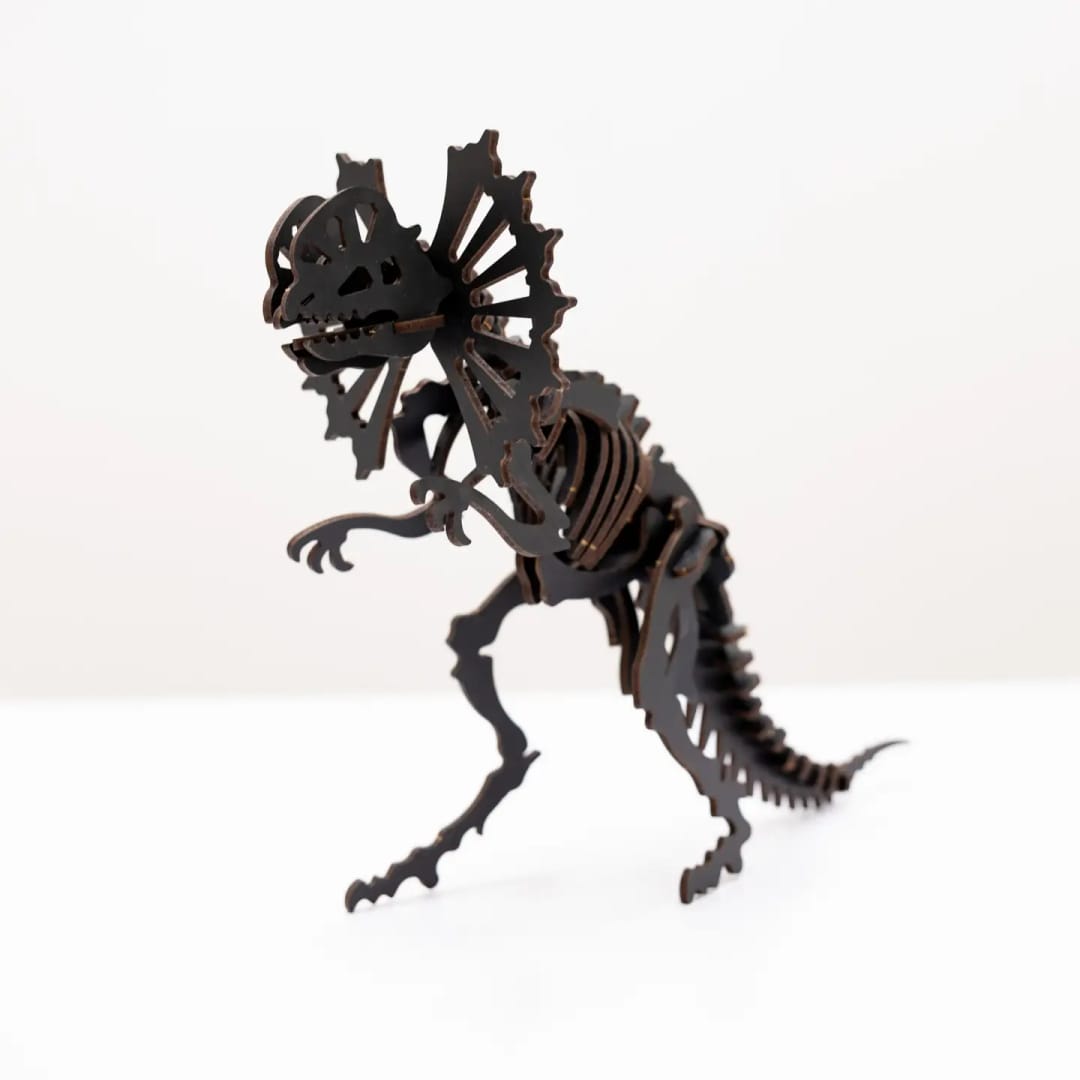 Puzzle Lemn 3D - Skeleton Dilophosaurus - Imaginea 2