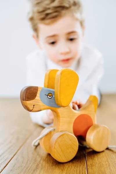 Jucărie din Lemn de Tras - Cățeluș Vesel (Friendly Toys) - Imaginea 2