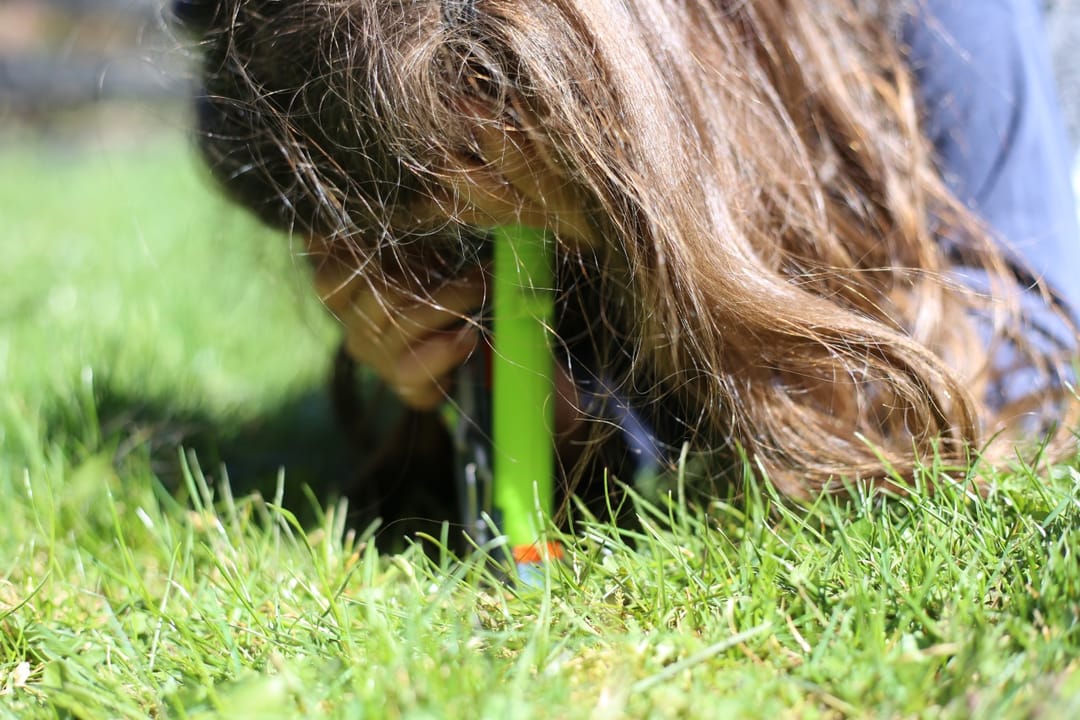 Microscop Portabil pentru Copii HABA Terra Kids - Imaginea 4