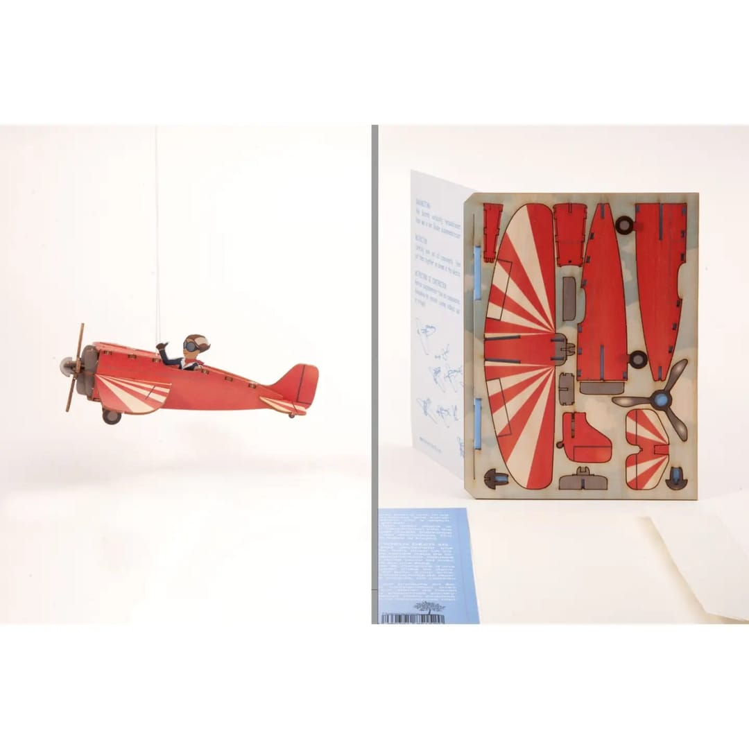 Machetă Avion 3D (Felicitare decorativă) - Imaginea 4
