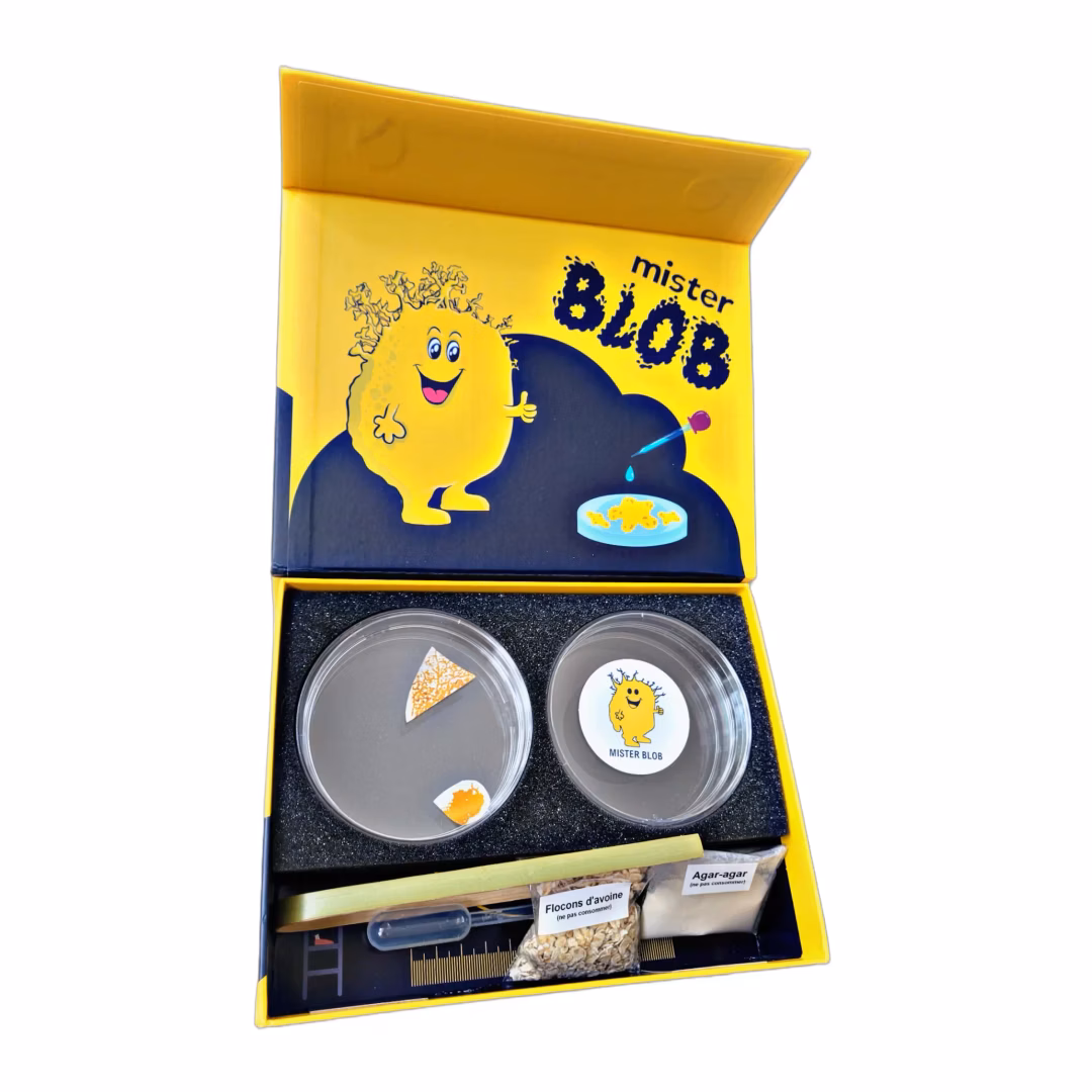 Kit Științific de Creștere Blob Mister Blob - Kit Starter Biologie - Imaginea 2