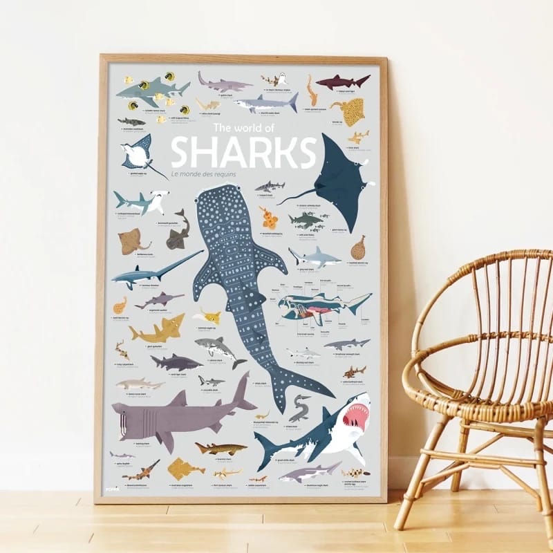 Poster cu Stickere Repoziționabile – Rechinii, Poppik (100 x 68 cm) - Imaginea 6